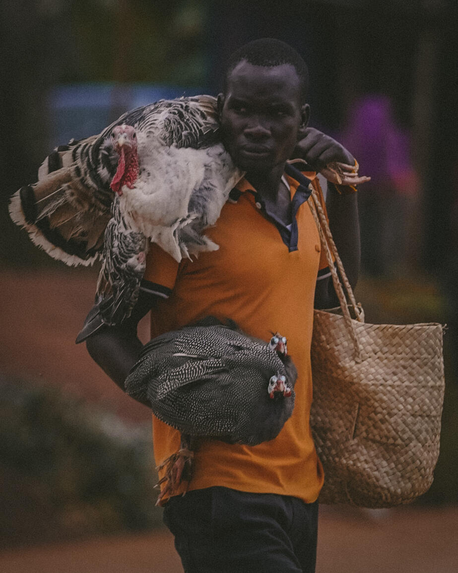 Untitled Untitled