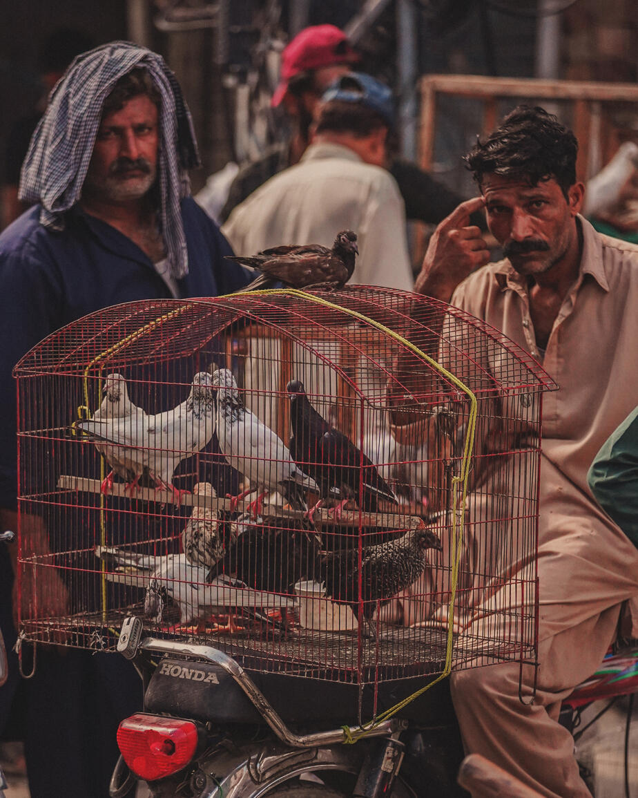 Untitled Untitled